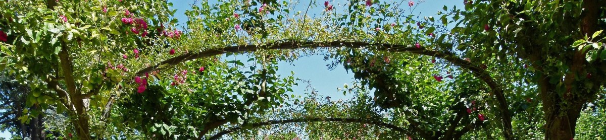 What Page Are We&nbsp;On?